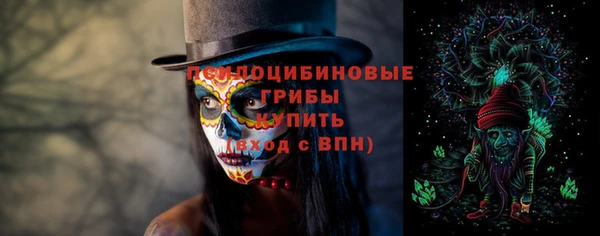 сатива Алексеевка