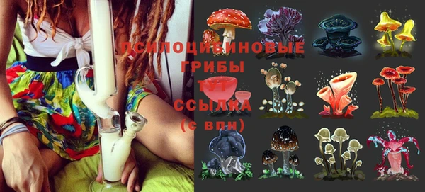 спиды Алзамай
