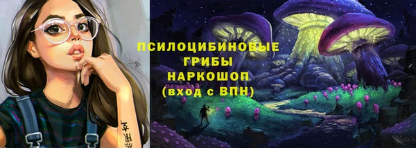 амф Алексин