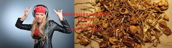 сатива Алексеевка