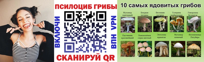Псилоцибиновые грибы Magic Shrooms  Брюховецкая 